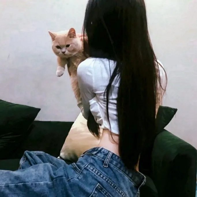 东离剑游纪第四季